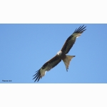 20220613 RM 02 1 DSC08361.jpg